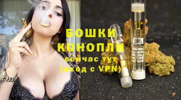 сатива Балабаново