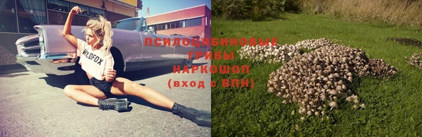 сатива Балабаново