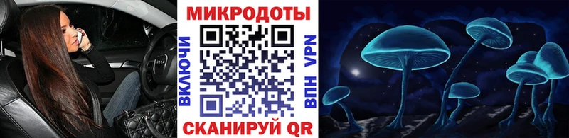 Псилоцибиновые грибы Psilocybine cubensis  Верхотурье 